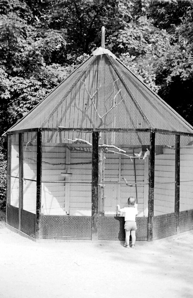 Vlaardingen jaren70 nr 0027